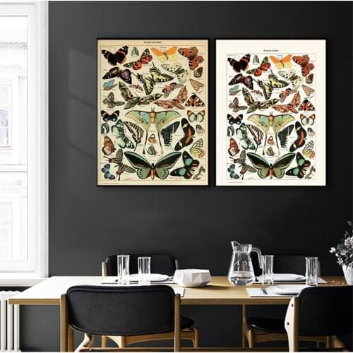 Canvas Painting Picture Kids Room Home Wall Decor Antique Butterfly Vintage Poster Prints Insect Kind Nature Education Wall Art