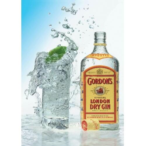 Gordons Dry Gin Metal Sign Pub She Shed Garage Plaque Bar Man Cave Home Tonic