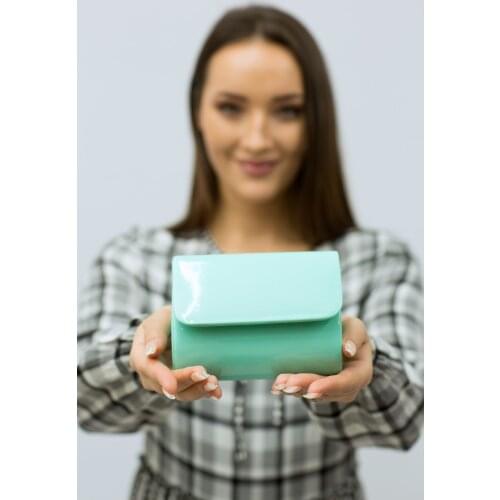 Women Mint Green Tiny Portfolio Bag