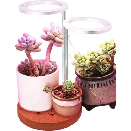 Фитолампы для растений Hollyton China At AliExpress