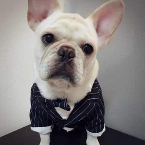 Gentleman Dog Pet Clothes Cat Suit Dog Groom Tuxedo Suit Pet Stylish Suit Bow Tie Formal Party Costume S M L XL