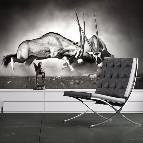 Wall mural-antelope in fight-350x270 cm