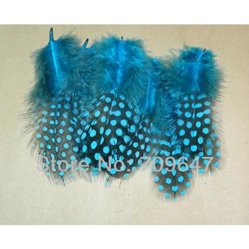 Blue Feathers!200Pcs/Lot 6-12cm SKY BLUE LOOSE GUINEA Fowl Spotted Feathers,turquoise feathers,loose for jewelry