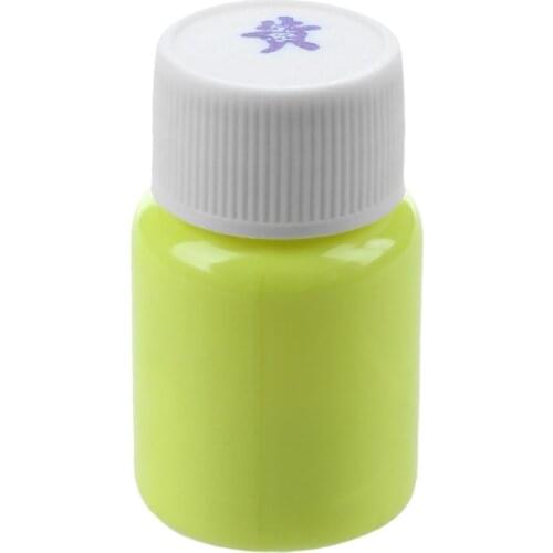 20g Glow in the Dark Acrylic Luminous Paint Bright Pigment Party Decoration DIY