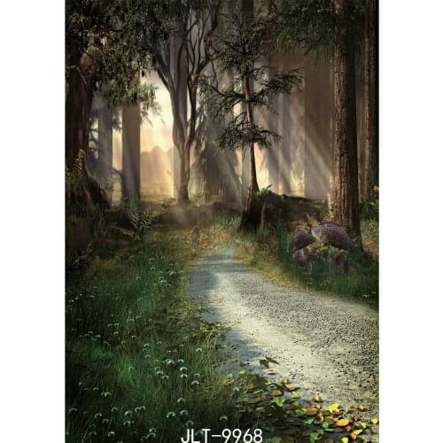 Mysterious Road Photography Backdrops Ancient Forest Halloween Backdrop Vinyl Cloth Customize Backgrounds for Photo Studio