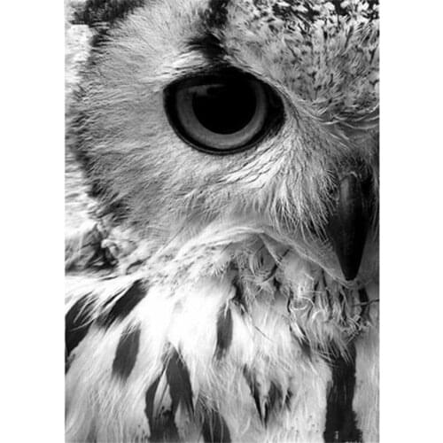 Full Square/Round Drill 5D DIY Diamond Painting "Owl Eye" 3D Rhinestone Embroidery Cross Stitch 5D Decor Gif diamond painting
