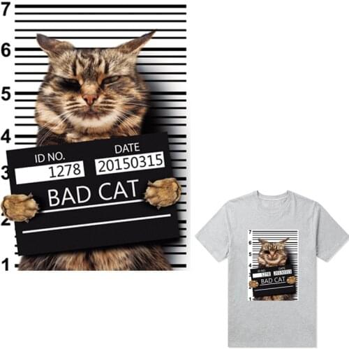 Cat Photo Thermal Stickers Fashion Patch New Design Thermal Transfer T-Shirt Dresses Diy Hot Tear Fabric Patches