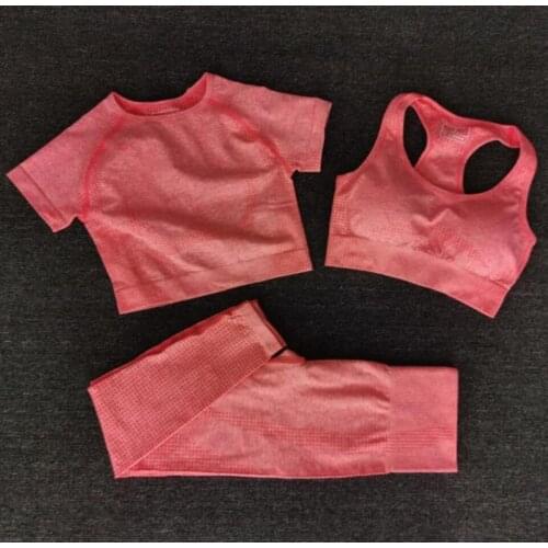 3 PCS Women Summer Seamless yoga set Fitness Sports Suits GYM Clothing Yoga T-Shirts+High Waist leggings+Bra Workout Pants