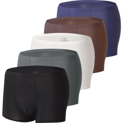 Ice Silk Men Underwear Sexy Gay Seamless Brand Luxury Mens Transparent Panties Male Jockstrap Boxers Underpants Man boxer