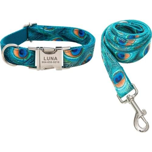 Personalized Pet Collar Free Engraving Custom Puppy Nameplate ID Tag Adjustable Peacock Feather Basic Collars Lead Leash Set