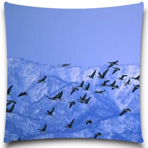 Disturbed birds Cotton Polyester square 5 size 9 style Pillows Case for Sofa Car Cushion Cover Creative Decoration