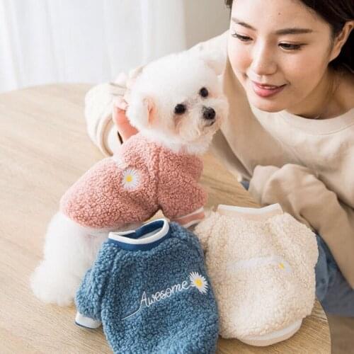 2021 New Dog Clothing Two-legged Sweater Embroidered Warm Sweatshirt Pet Clothes For Small Dogs
