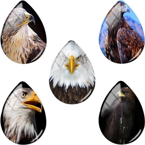 TAFREE 5pics/Lot Discount Selling Fashion Eagle 18x25mm Tear Drop Shaped Art Photos Glass Beads Making Accessories HL63