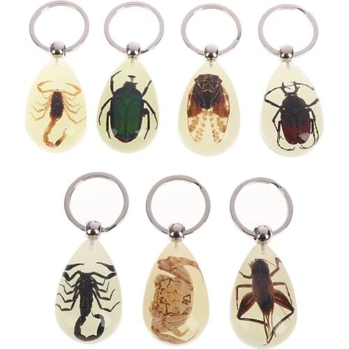 Creative Scorpion Keychain Car Keyring Key Holder Noctilucent Scorpion Amber Pendant Auto Pendant Handbag Wallet Pendant