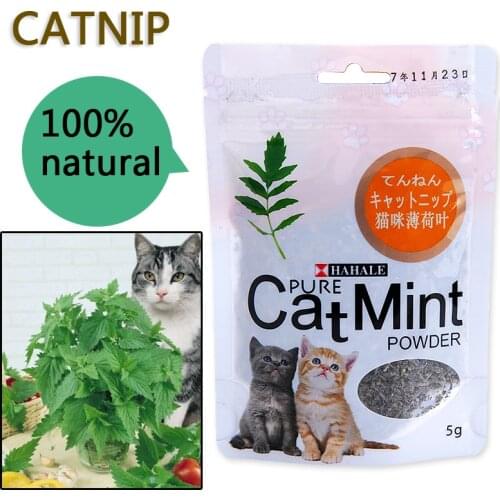 Menthol Flavor Cat Treats Digestive Pet Supplies Promotional Premium Catnip Hot Sale Cat Mint Natural Pet Food Organic Funny Toy