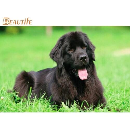 Hot Sale Custom Newfoundland dog Poster Home Decoration Fashion Silk Fabric Wall Poster Custom Poster
