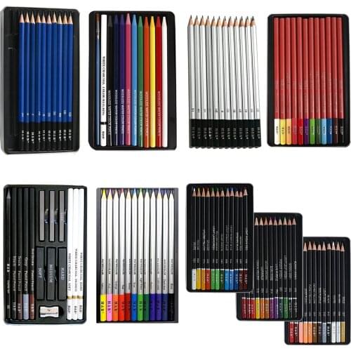 12pcs Professional Drawing and Sketching Pencils Set Pastel Woodless Watercolor White Charcoal Art,Shading, Artist for Beginners