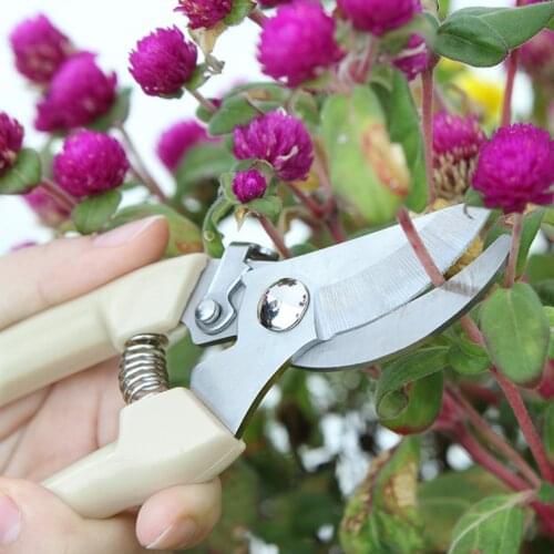 NEW Strength Pruning Shears Household Farm High Quality Garden Tree Shears Orchard Pruning scissors Can Cut Branches
