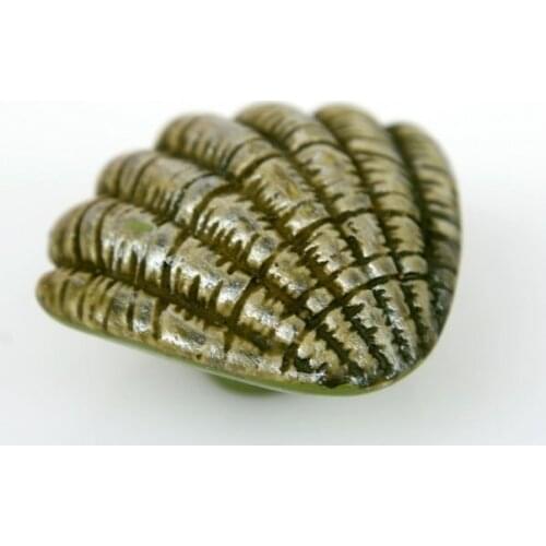 10Pcs/Lot Child Sea Shells Resin Kitchen Cabinet Handle and Knobs