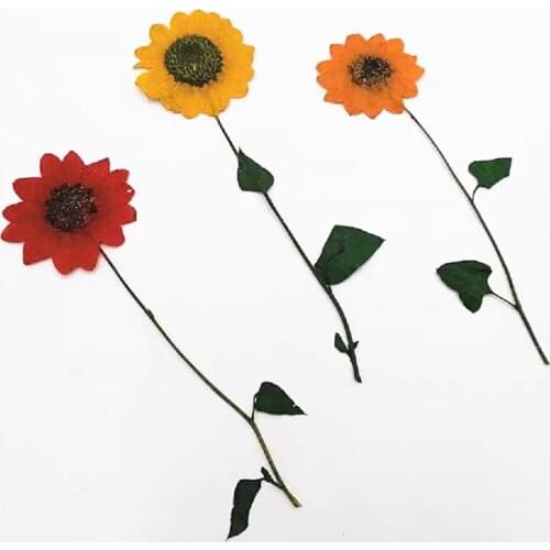 60pcs Pressed Dried Sunflower with Leaves Stem Filler For Epoxy Resin Jewelry Making Postcard Frame Phone Case Craft DIY