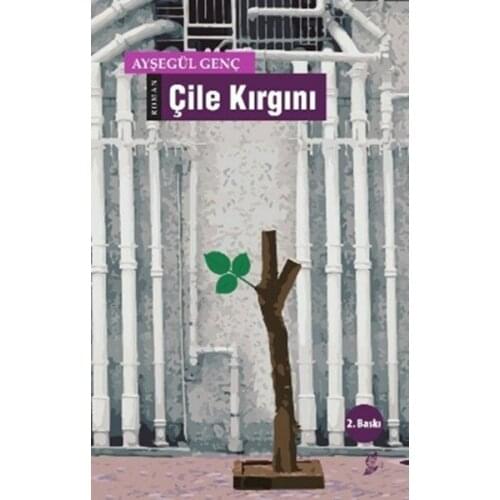 Hasp Kırgını Ayşegül Young Reads Library (TURKISH)