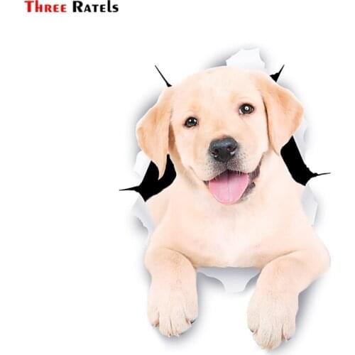 Three Ratels FTC-1101 3D Cute White Labrador Dog Sticker for Car Sticker Kitchen Cabinet Toilet Refrigerator Wall Laptop Decal