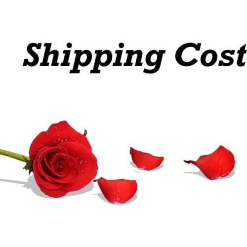 2020 Extra shipping fee link random 3