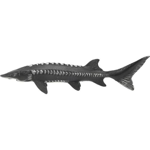 Simulation Chinese Sturgeon Model Fake Sturgeon Fish Model Home Decoration Ornaments Kids Toy Fish Model For Kids