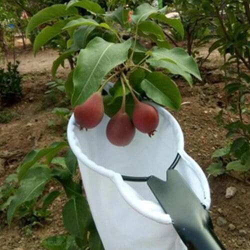 Two Way Metal Blade Fruit Picker High Tree Pear Jujube Picking Tools Orchard Kit