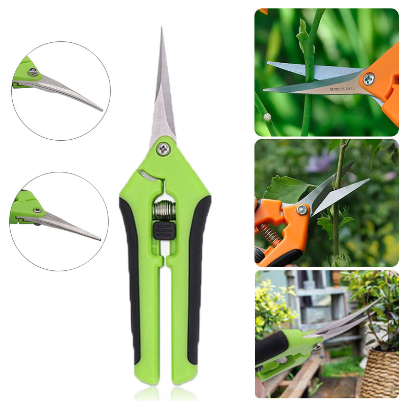 Qsezeny Scissors