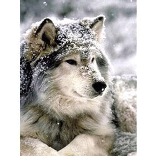 Wolf Animals Winter Pre-Printed 11CT Cross Stitch Complete Kit DIY Embroidery DMC Threads Handiwork Handmade Craft Different