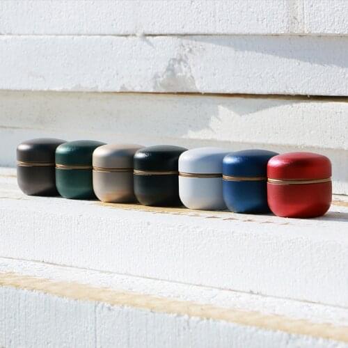 Cat Urn Ashes Cremation Holder Urns Small Memorial Casket Animal Funeral Keepsake Pet Urns For Puppy Cats Too