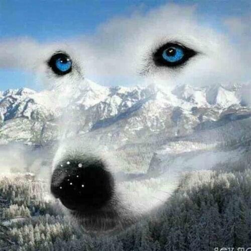 Full Square Round Diamond 5D DIY Diamond Painting "Animal Wolf" Embroidery Cross Stitch Rhinestone Mosaic Painting Decor Gift