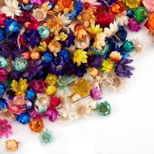 100/200Pcs Real Dried Flowers For DIY Art Craft Candle Making Jewelry Glass Cover Ball Filler Dried Flowers Accessories
