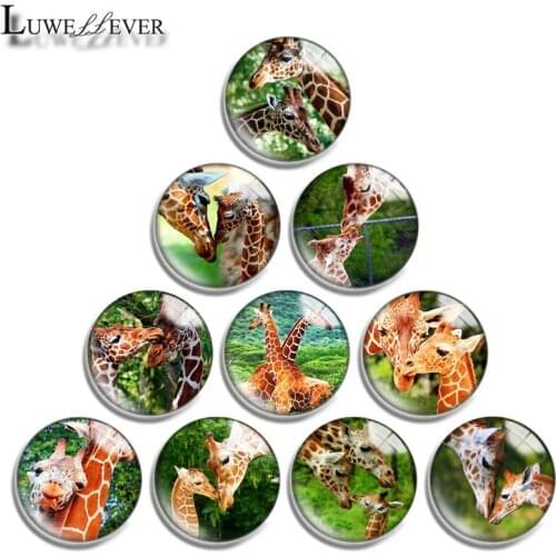 12mm 14mm 16mm 20mm 25mm 30mm 686 Giraffe Mix Round Glass Cabochon Jewelry Finding 18mm Snap Button Charm Bracelet