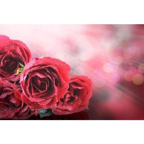 GLymg 5d Diamond Painting Diy Rhinestones Embroidery Diamond Embroidery Diamond Craft Rose Water Droplets Diamond Art Wall