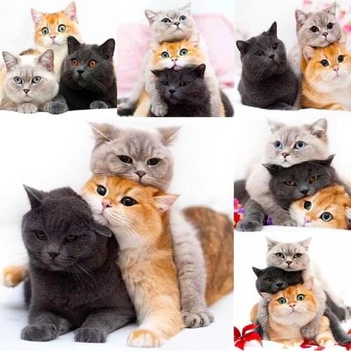 Kamy Yi 5D Bricolage Diamant Peinture Chat Broderie Point De Croix Diamant Peinture Famille Décoration De La Maison Cadeau YY