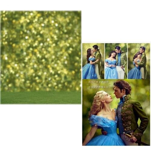 DAWNKNOW Vinyl Photography Backdrops Dreamlike Sparkle Lawn Photo New Fabric Flannel Background For Lover Photo Studio 6752