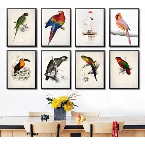 Watercolor Parrot Poster Tropical Bird Animal Wall Art Modern Canvas Painting and Printmaking Nursery Nordic Home Decor Pictures