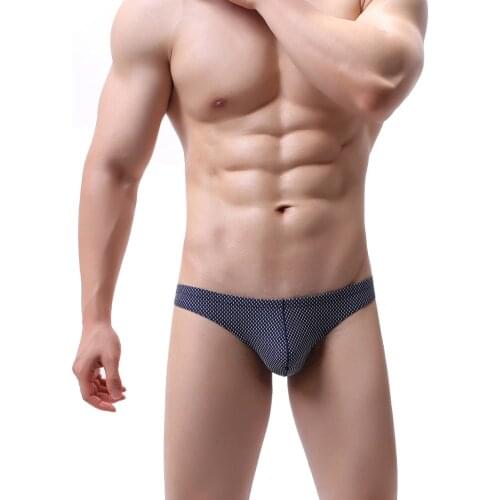 Sexy Men Underwear Briefs Low Waist Underpants Male Lingerie Panties Shorts Bikini Briefs Breathable Calzoncillo Plus Size M-2XL