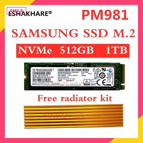 Original SAMSUNG SSD M.2 PM981 256GB 512GB Solid State Hard Disk M2 SSD NVMe PCIe 3.0 x4 NVMe Laptop PM981 1TB Free radiator kit