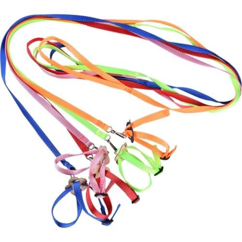 Parrot Bird Leash Training Lead Rope Adjustable Harness Pets Anti Flying Outdoor Cat Turtles Rabbits Ferrets Leash