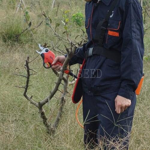 FPQ electric pruner lithium battery for orchard and vineyars ( fast 2018 HDP818 )
