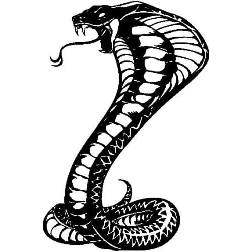 LLY-1307 Car Sticker Snake Beautiful Delicate Artistic Terror Decal PVC Auto Motorcycle Sunscreen Waterproof Creativity Decals