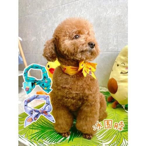 Small Pet Dog Cat Ice Collar Scarf Summer Outdoor Cooling To Prevent Heatstroke Accessories Chihuahua French Bulldog Supplies
