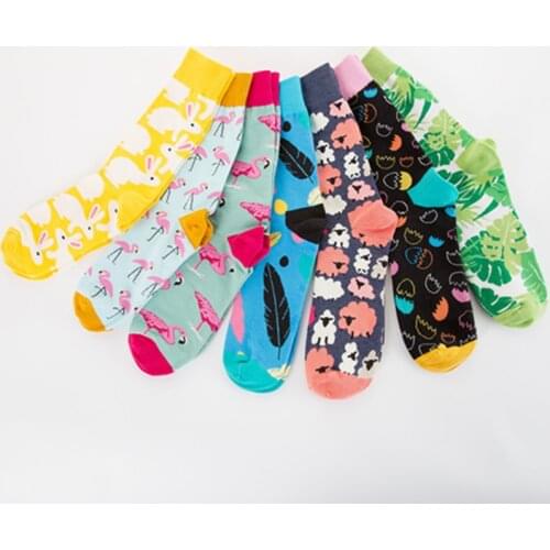 Rockbottom Men's Patterned Socks