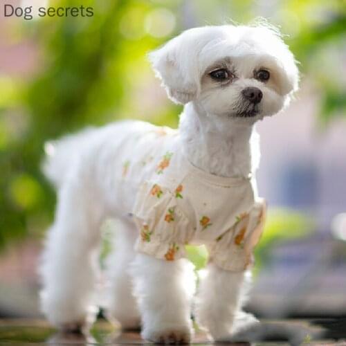 Summer Cat Dog Shirt Short Type pet Clothing Chihuahua Doggie Puppy Costume Yorkshire Pomeranian maltese Shih Tzu Poodle Clothes