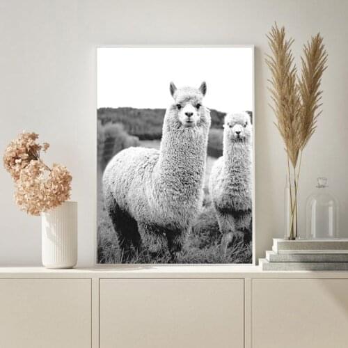 Black White Animals Poster Wall Art Print Nursery Canvas Painting Nordic Decoration Picture Modern Home Decor HD0059