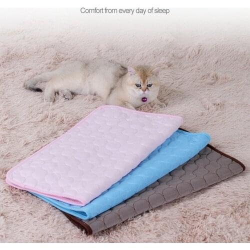 CANILE Products For Dogs