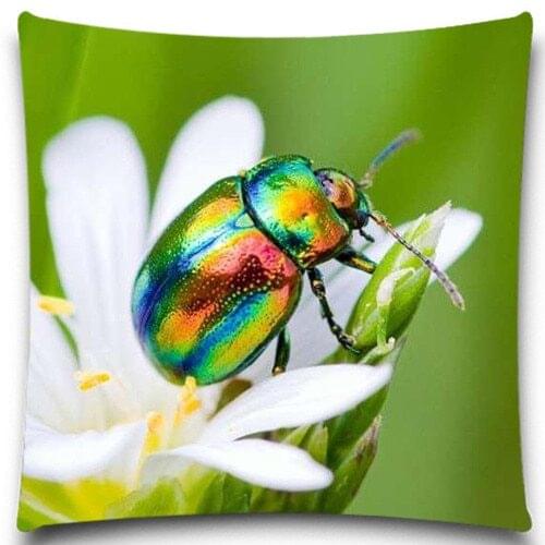 Golden green beetle/Butterfly Pillow Case Cotton polyester Cushion Cover Vintage Chair Sofa car Home Decorative